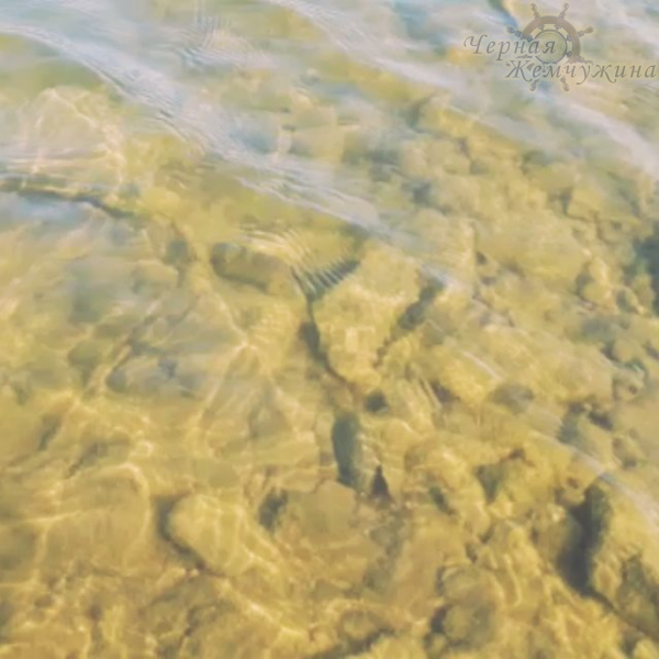 Instagram Сплав на плотах | Черная жемчужина